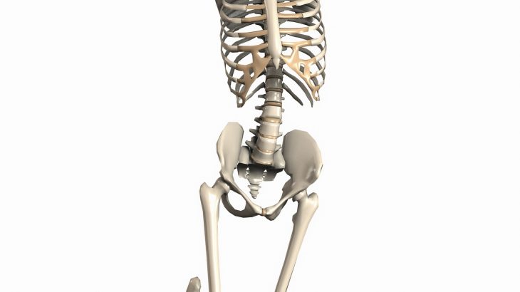 健康寿命に関わる「骨」の重要性とは